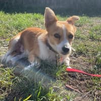 Photo of Alvin