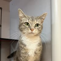 Photo of Geena 