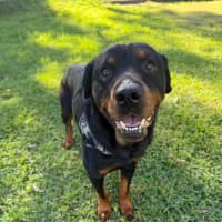 Photo of Chunk