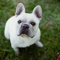 Photo of Bee O’cleary