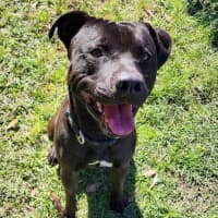 Photo of Odin