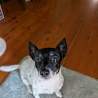 Photo of Abbie