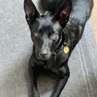 Photo of Slick
