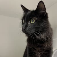 Photo of Oscar Hautot