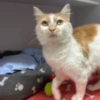 Photo of Sandy