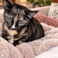Photo of Muriel