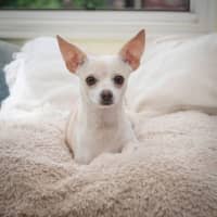 Photo of Agnes
