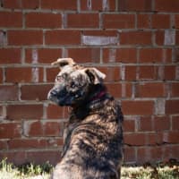 Photo of Benny Lozano