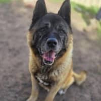 Photo of Bernie