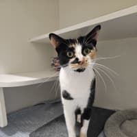 Photo of Mitsi