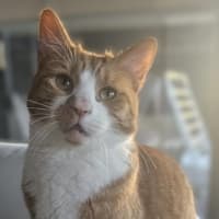 Photo of Owen
