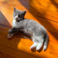 Photo of Gus