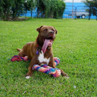 Photo of Wally