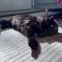 Photo of Sootie Uffelman