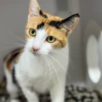 Photo of Junie