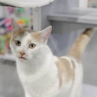 Photo of Fizz