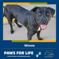 Photo of Winnie