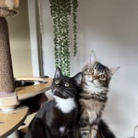 Photo of Jack & Jupiter