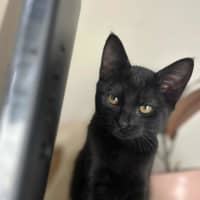 Photo of Milly & Tilly