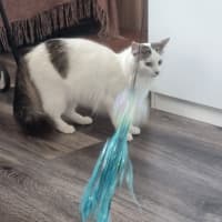 Photo of Lilly