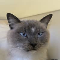 Photo of 🎇 Fiyero 5753 🎇