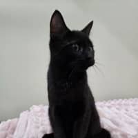 Photo of Bert