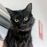 Photo of 🍓 Miriam 5923 🍓