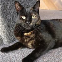 Photo of Birdie