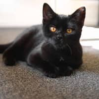Photo of Faye