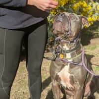 Photo of Zeus 