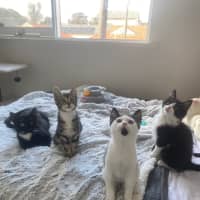 Photo of Bear Sanderson