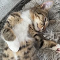Photo of Boots