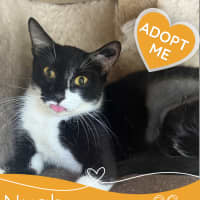 Photo of Nyah
