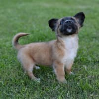 Photo of Mabel