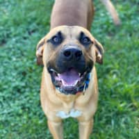 Photo of Rocko