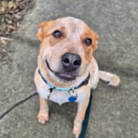 Photo of Benny