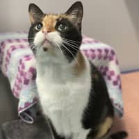 Photo of Mitzy