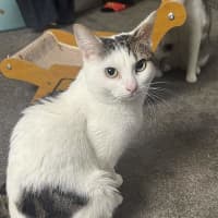 Photo of Smoosh
