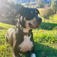 Photo of Tess