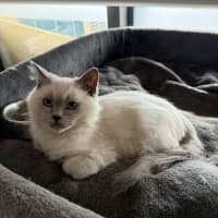 Photo of Elio