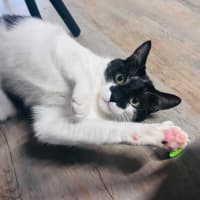 Photo of Murphy