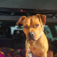 Photo of Maya