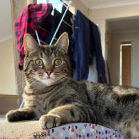 Photo of Tommy