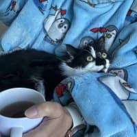 Photo of ❤️ Ruby ❤️