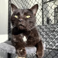 Photo of Little Buddy