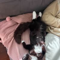 Photo of Po