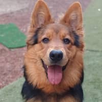 Photo of Pippi