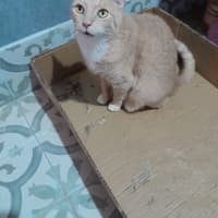 Photo of Elio