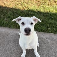 Photo of Esky