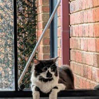 Photo of Junior